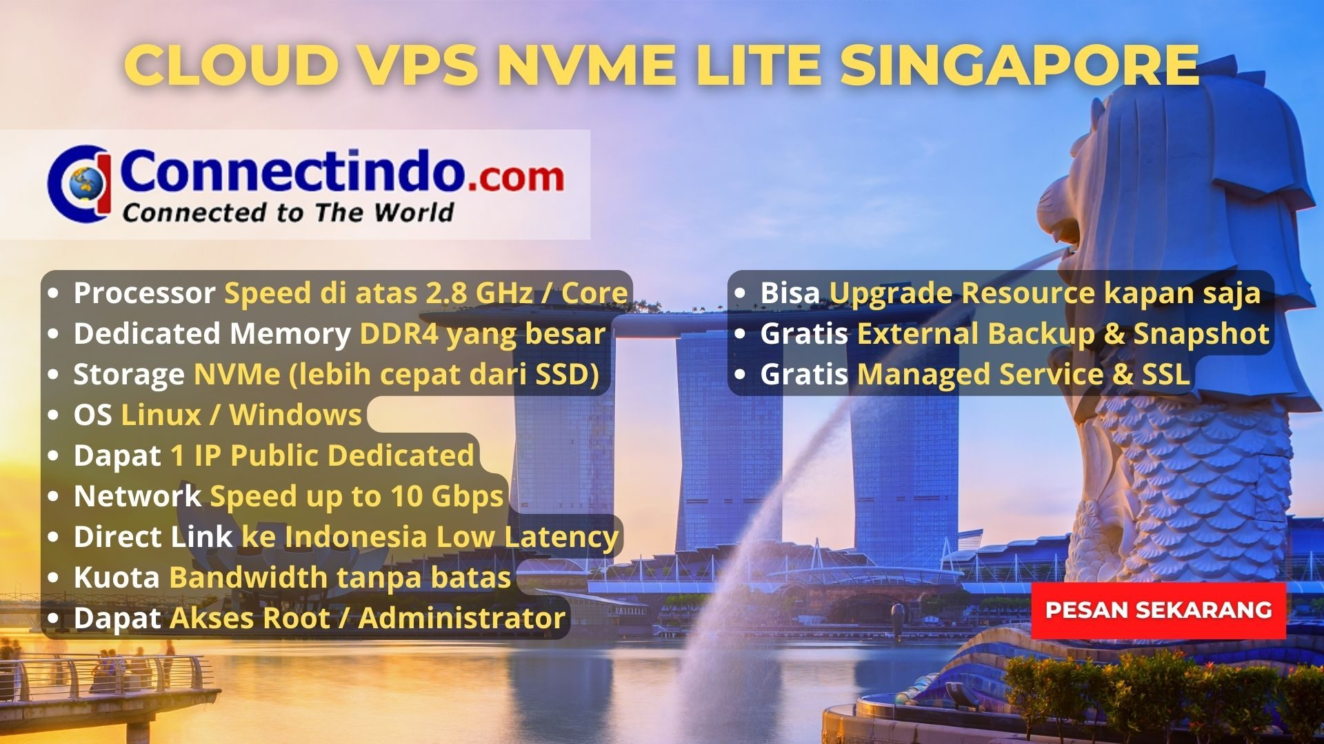 Cloud VPS NVMe Lite SG